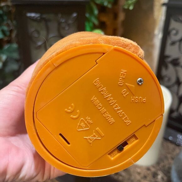 The Happy Dancing Cactus!! - Picture 4 of 6